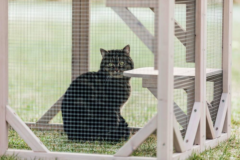 Durable and Hygienic Cattery Pens for Safe and Comfortable Cat Boarding