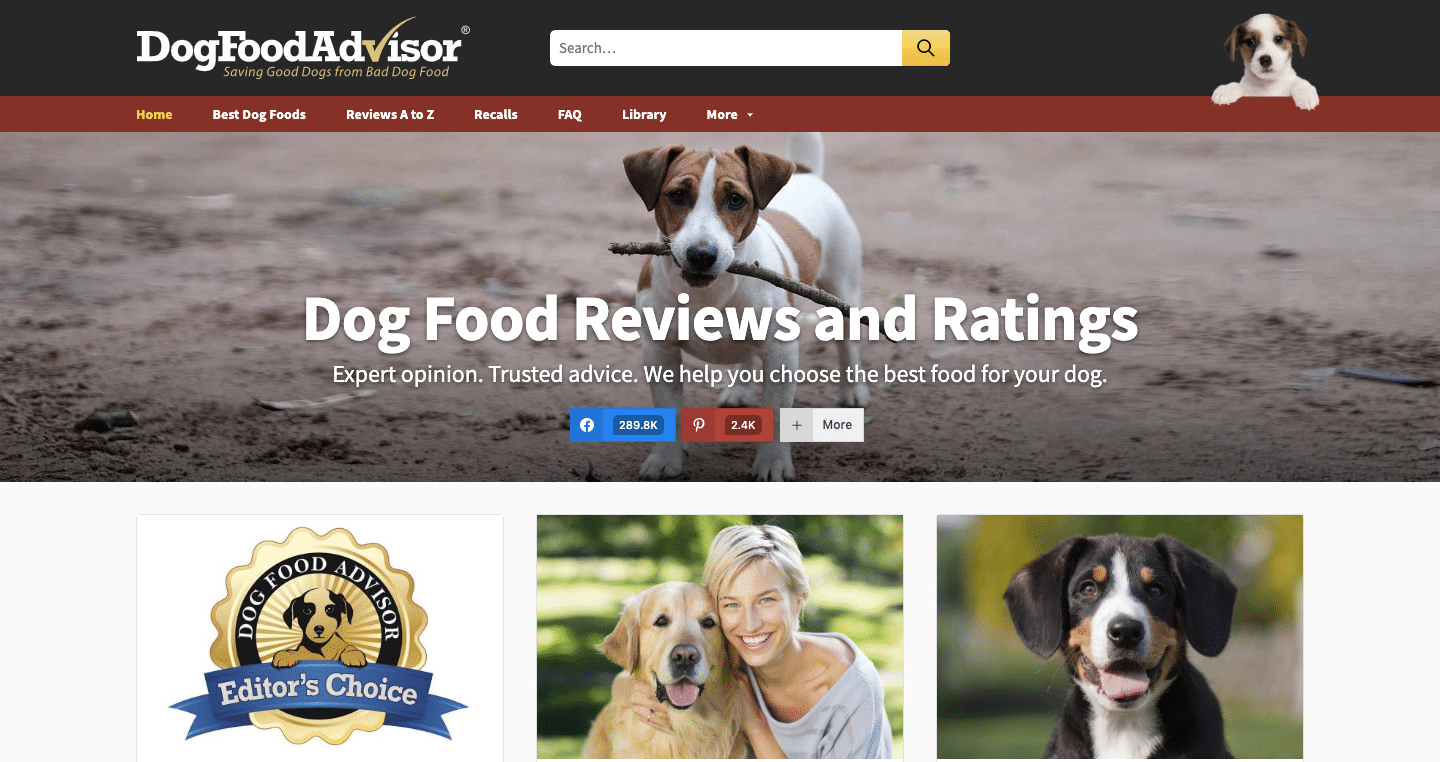 start a pet care blog