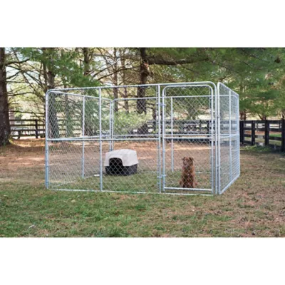 10 x 10 dog kennel