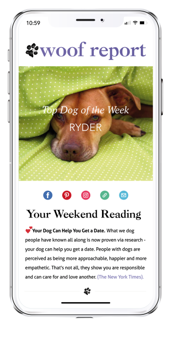 Get the Latest Pet News and Expert Advice with Our Free Newsletter