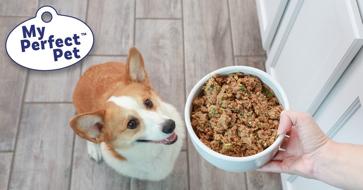 My Perfect Pet Dog Food: Premium Nutrition for Your Canine Companion