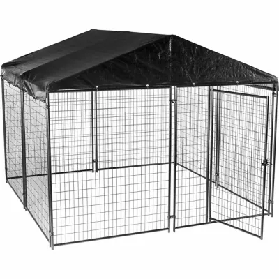10 x 10 dog kennel