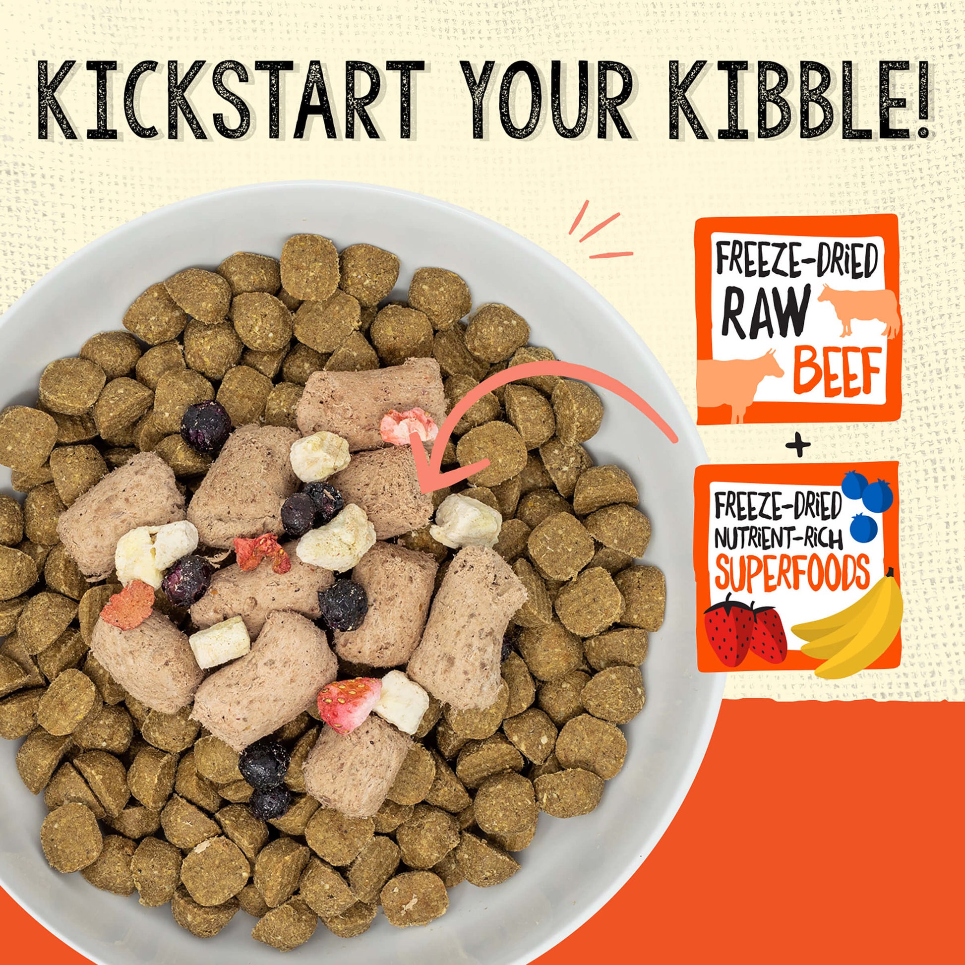 Top Grass Fed Freeze Dried Dog Food Near You for Healthy Pet Meals