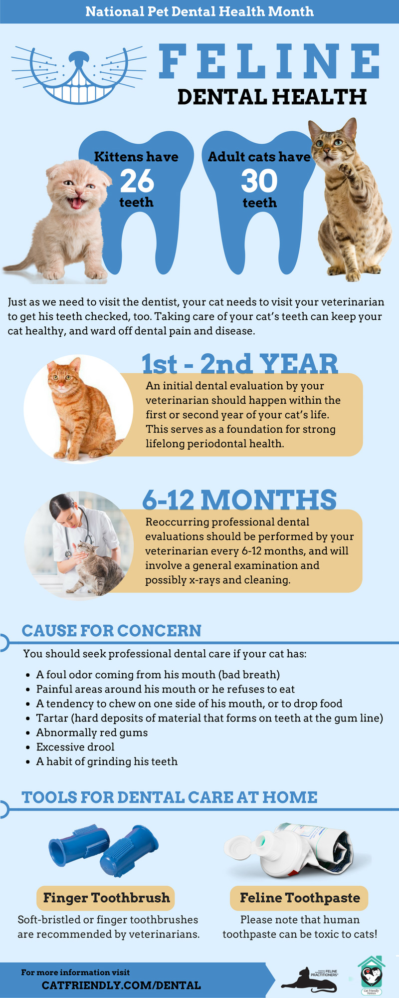 Understanding the Cat Dental Chart: A Guide to Feline Oral Health