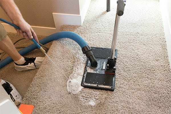 Professional Carpet Cleaning Services for Pet Urine Removal