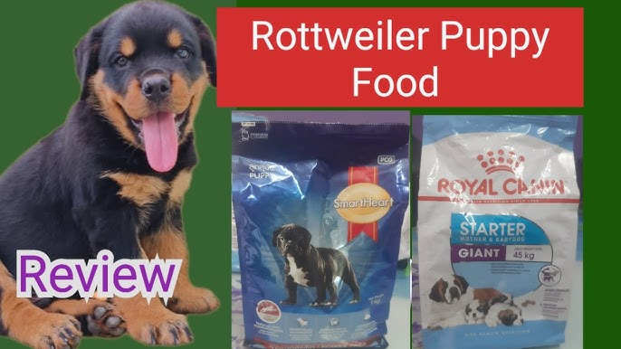 Royal Canin vs Pedigree: Best Food for Your Rottweiler Puppy in 2024