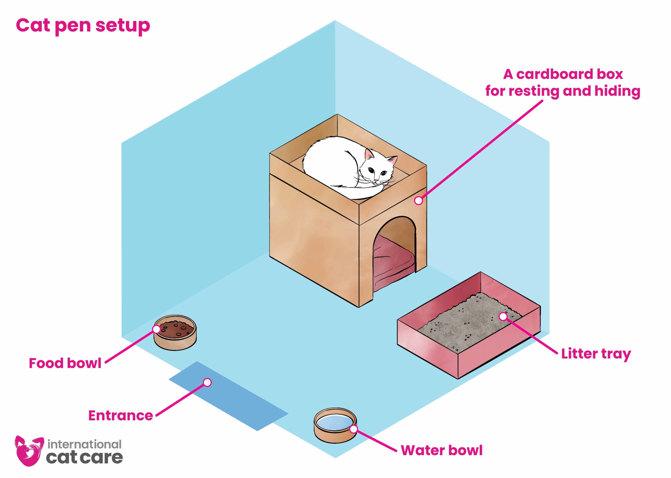Durable and Hygienic Cattery Pens for Safe and Comfortable Cat Boarding
