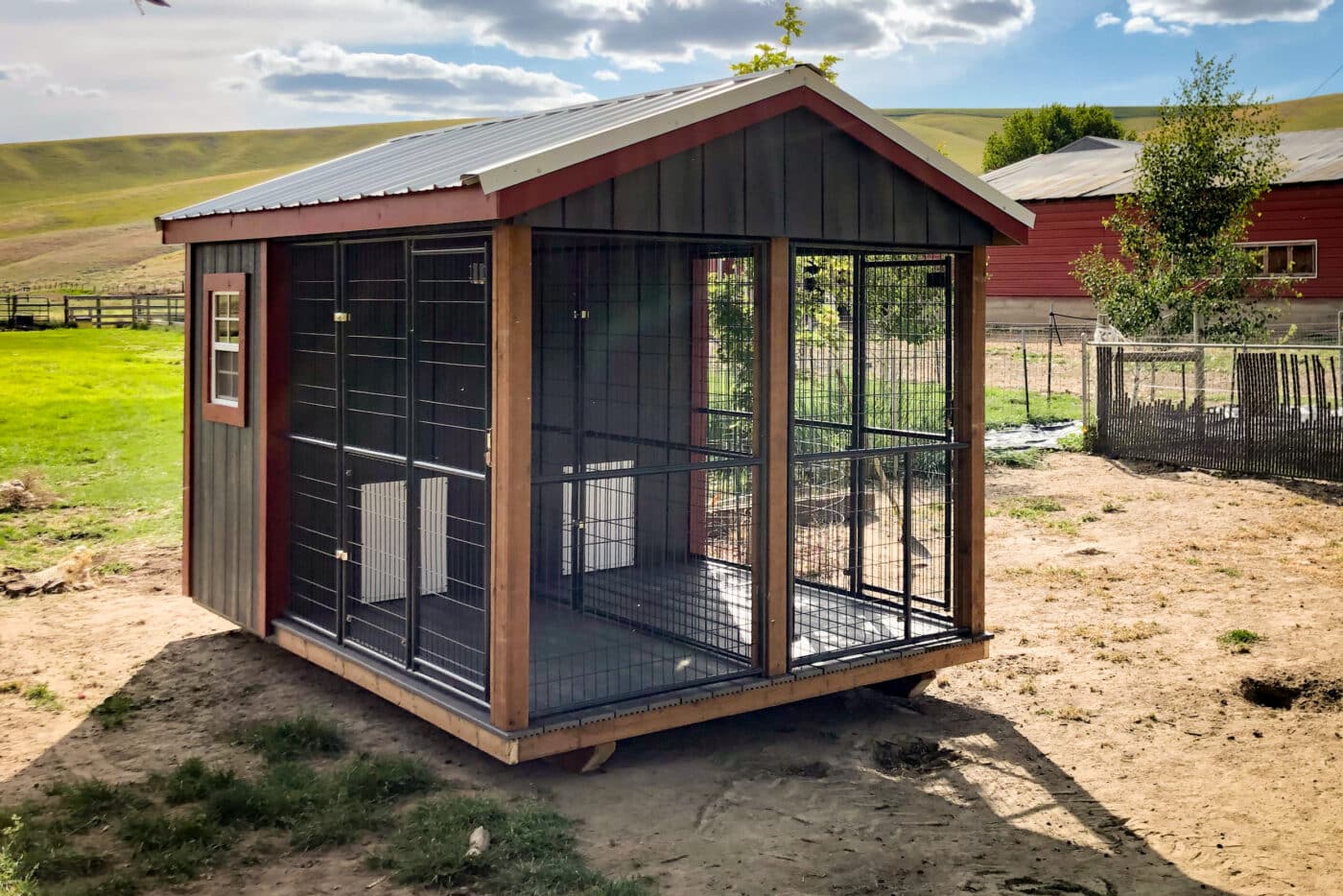 Transform Your Shed into a Cozy Dog Kennel with These Tips