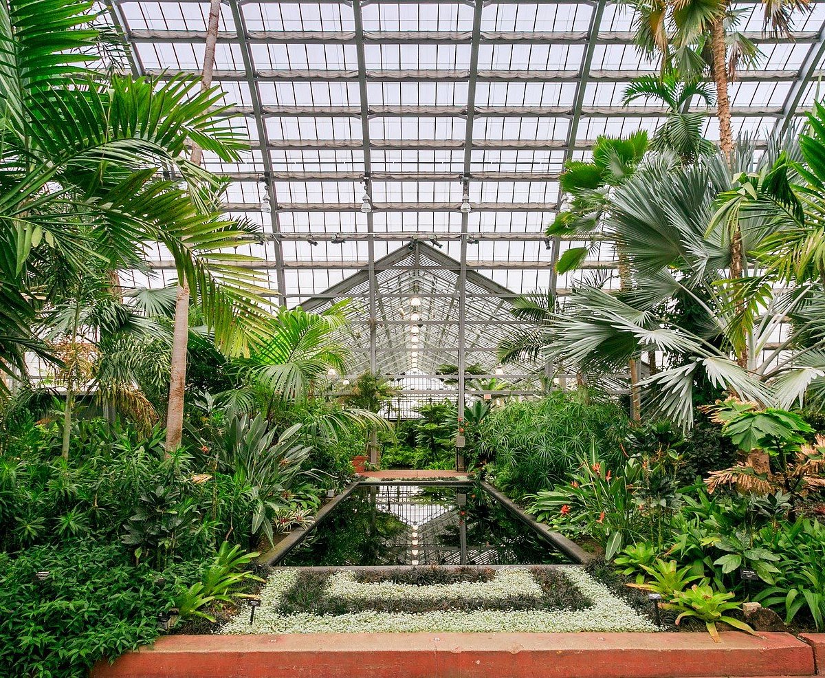 Is It Safe to Drive to Garfield Conservatory in Chicago? Everything You Need to Know