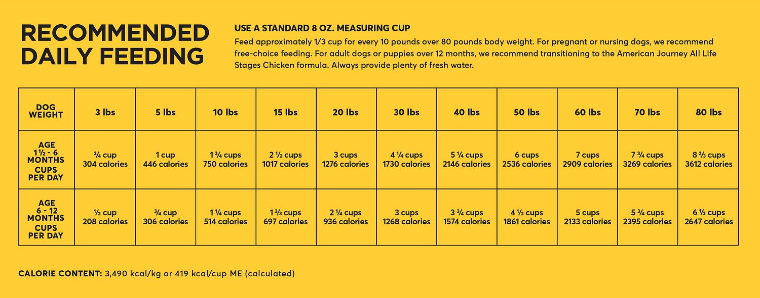 Easy Rottweiler Feeding Chart by Weight: How Much to Feed?