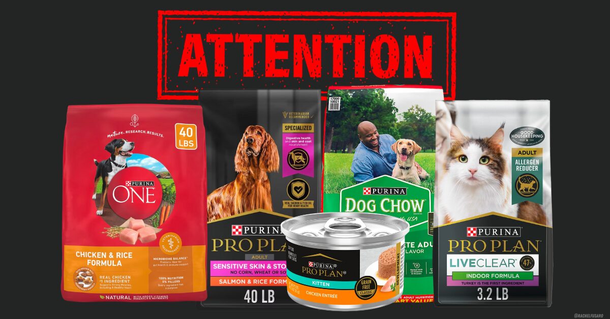 Is Purina Dog Food Worth It? Why Vets Recommend Purina Pro Plan and Purina ONE