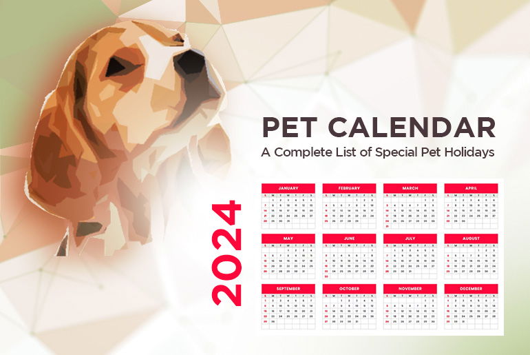 Canada Pet Care Order Status: How to Track Your Pet Supplies