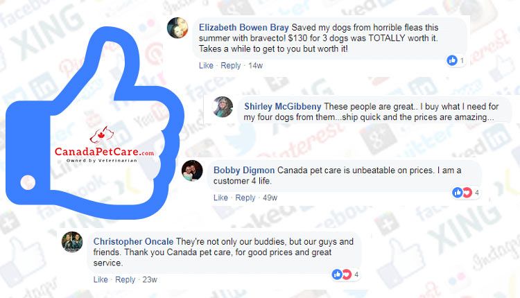 Is Canada Pet Care Legit? A Complete Review of Their Services and Reputation