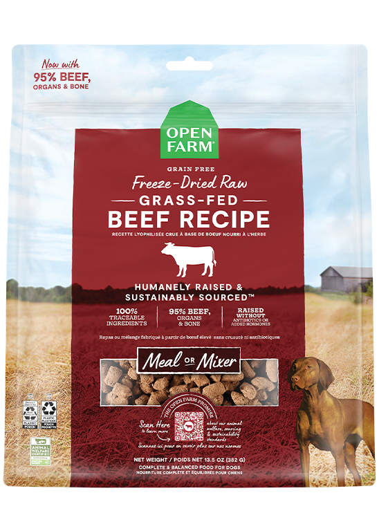 Top Grass Fed Freeze Dried Dog Food Near You for Healthy Pet Meals