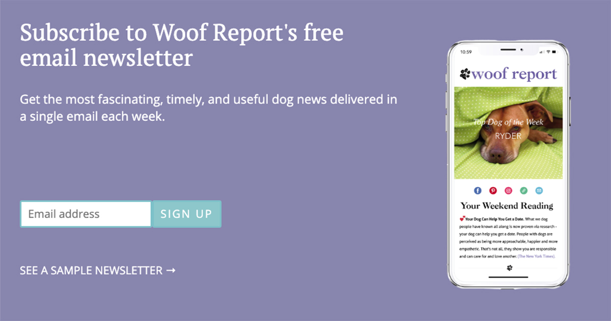Get the Latest Pet News and Expert Advice with Our Free Newsletter