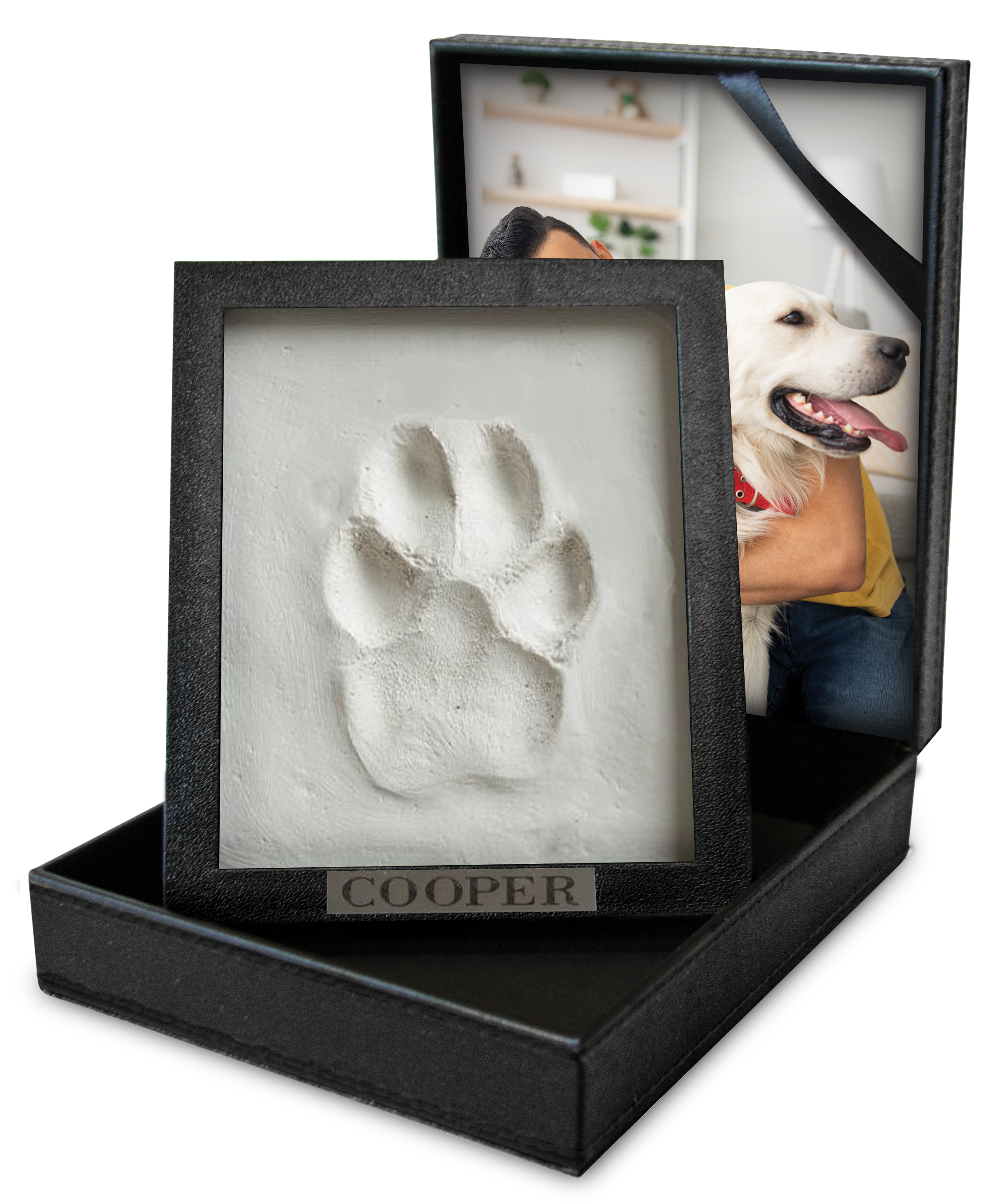Deceased Pet Care: Honoring Your Pets Memory with Compassionate Services