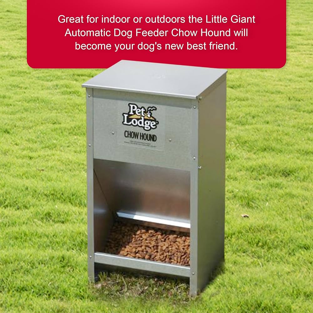 Top Pet Lodge Dog Feeder Options for Your Furry Friend