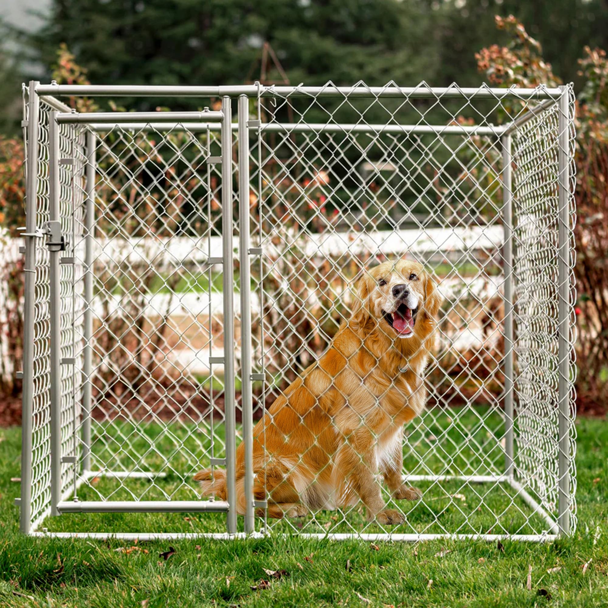 Best Dog Kennel Chain Link Fences for Outdoor Safety and Durability