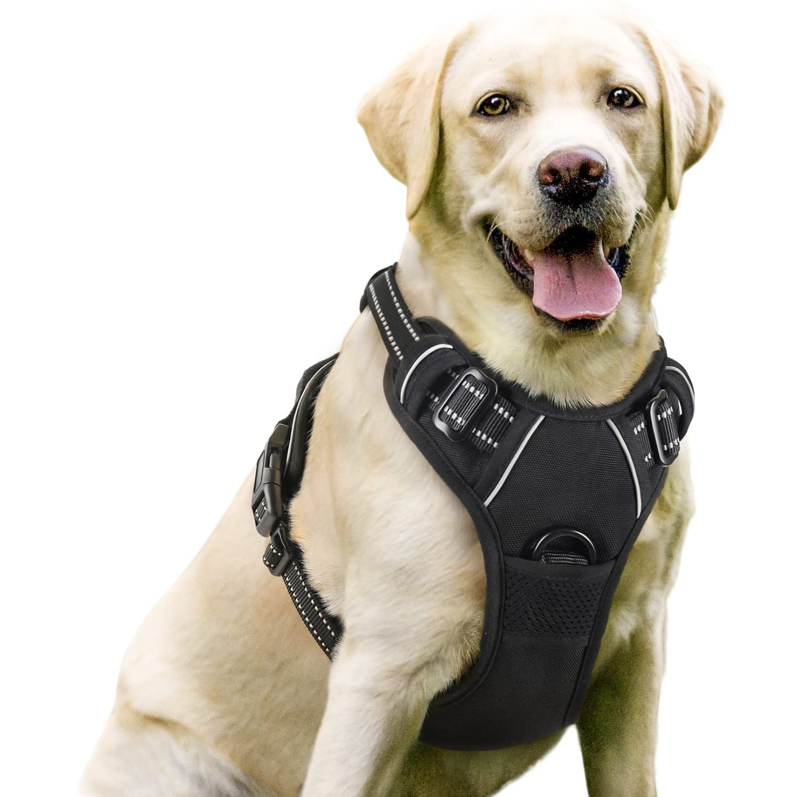 Best Rope Dog Harness for Durability and Comfort | Top Rated Picks