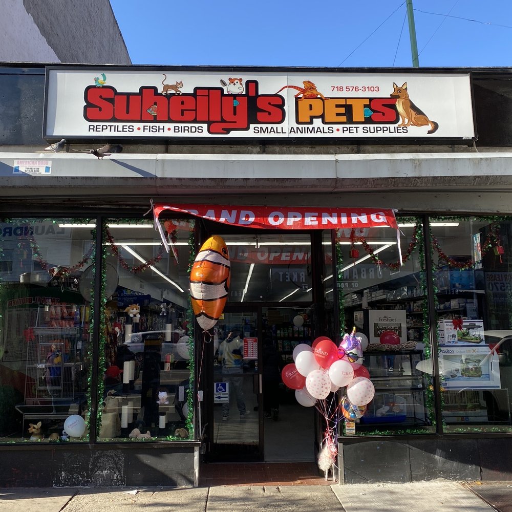 Discover Top-Rated Pet Supplies in Jersey City