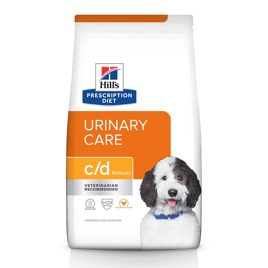 Top Bladder Stone Diets for Dogs: Low Oxalate, High Moisture Options