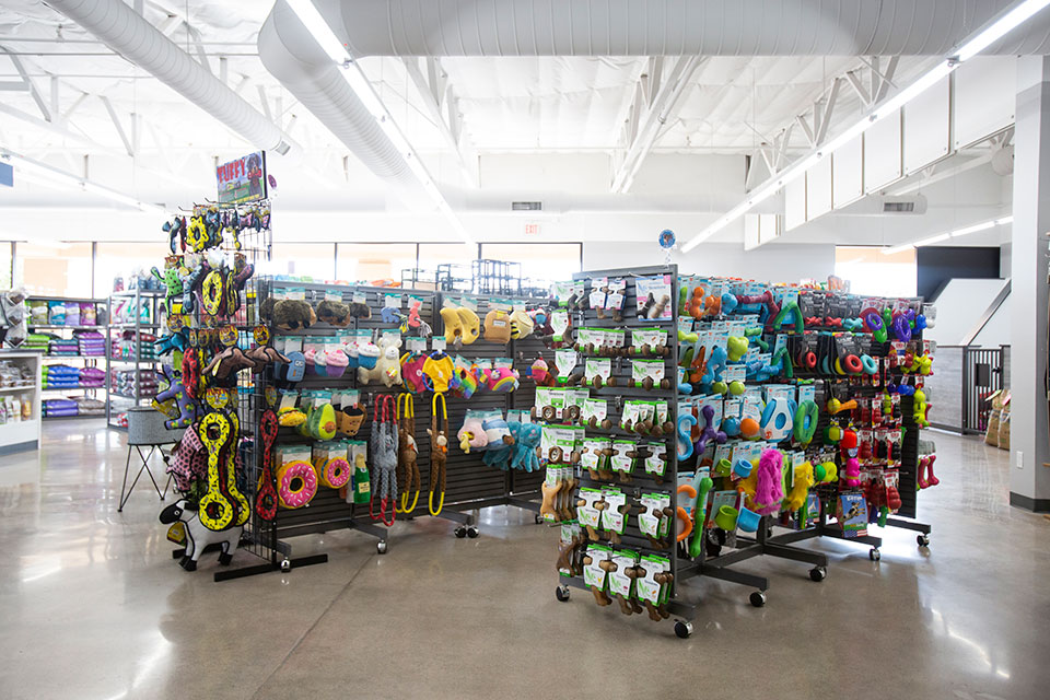 Discover Bark Avenue Pet Supply in Gilbert: Quality Pet Products & Services