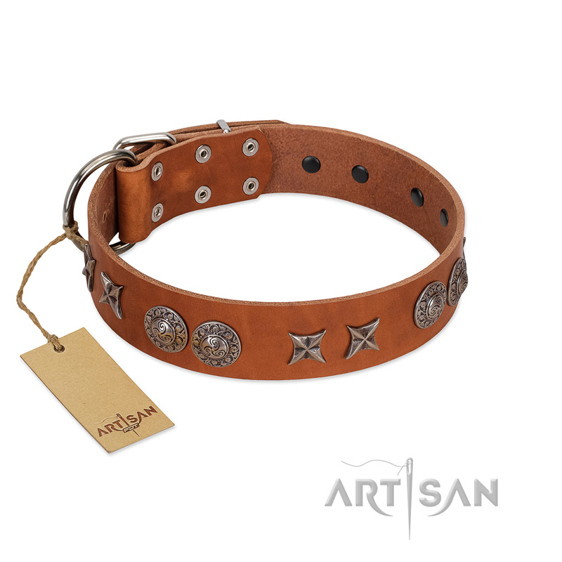 Best Rottweiler Dog Collars for Training and Comfort