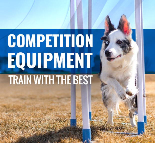 Shop JJ Pet Supplies for the Best Dog Training Gear and Accessories