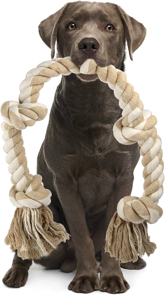 Premium Rope Dog Toys for Strong Chewers – Interactive Fun for Pets