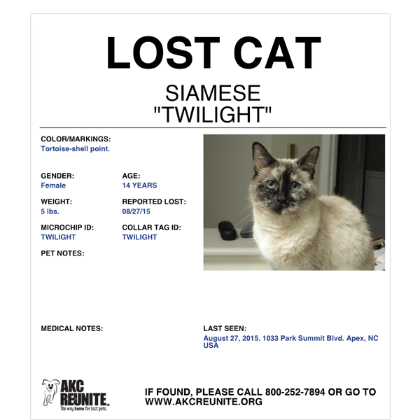 Lost Siamese Cat Near Me: How to Find and Reunite with Your Pet