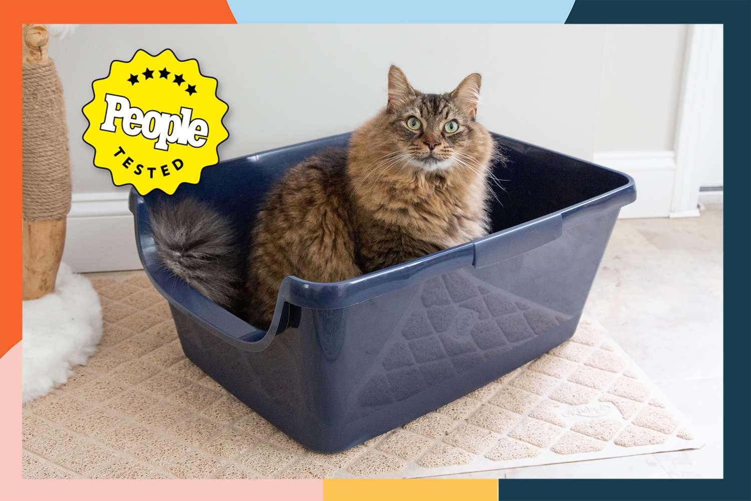 Choosing the Perfect Outside Cat Litter Box: Top Options for Your Feline