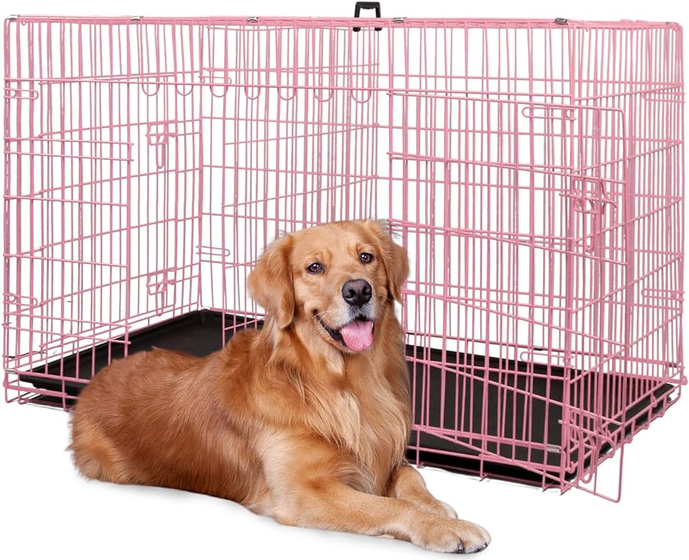 Best Golden Retriever Crate Size: 42 Inches or 34 Inches?