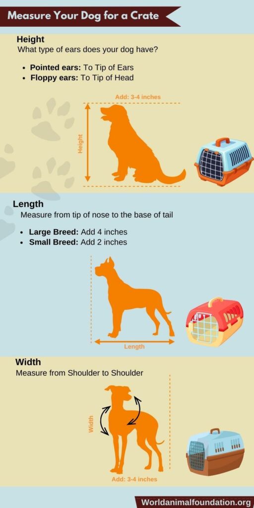 Finding the Perfect Crate Size for Your Rottweiler: What You Need to Know