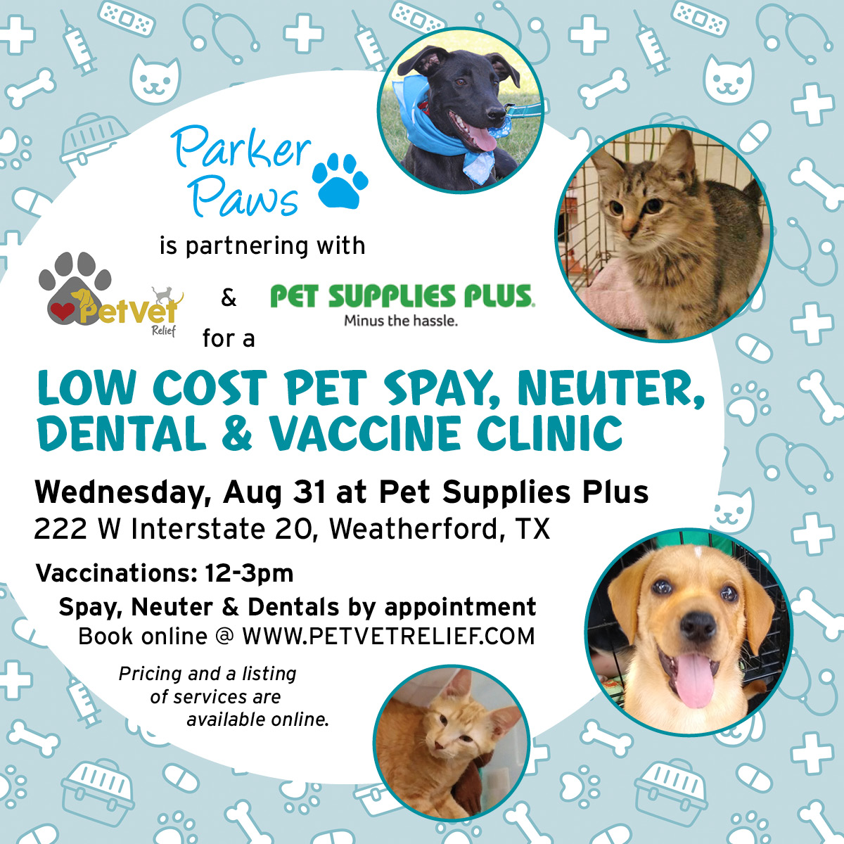 Affordable Pet Vaccine Clinics at Pet Supplies Plus: Protect Your Pet Today!