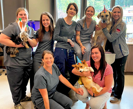 Top Pet Care Technician Jobs Available: Apply by Zip Code