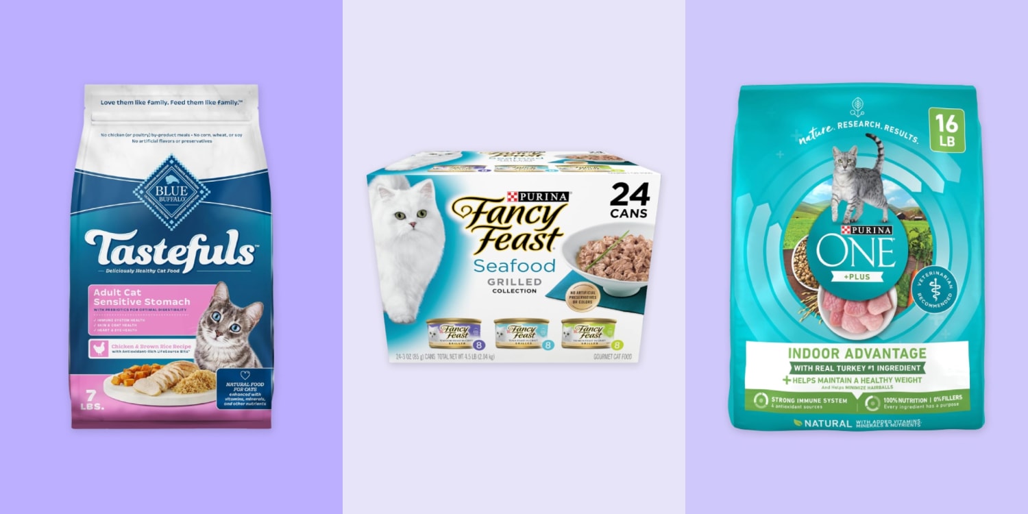 Best Low Calcium Cat Food Options for Optimal Health