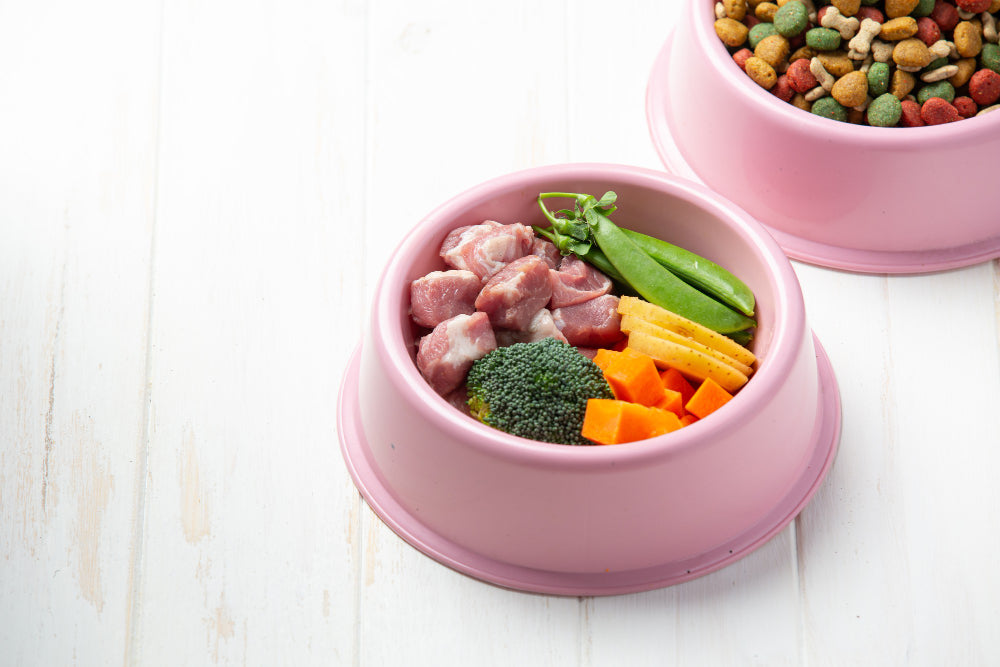 Why Rockstar Pet Food is the Best Choice for Health-Conscious Pet Owners
