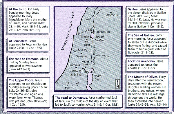 Luke 24:19-24 - How Peter Reacted to the Life-Changing News of Jesus Return