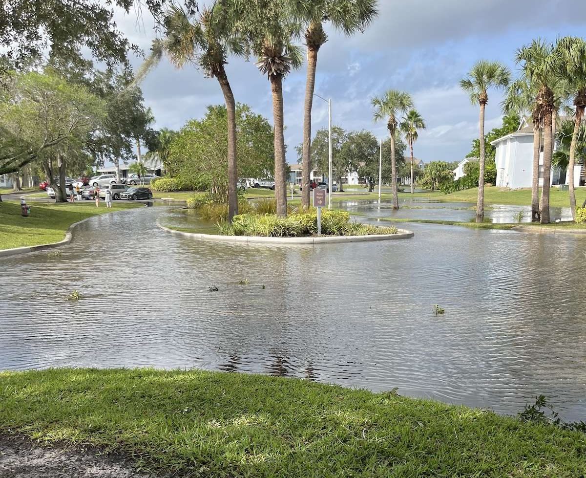 news st pete fl