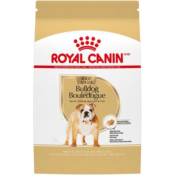 What's the Best Food for Your English Bulldog? Expert Recommendations