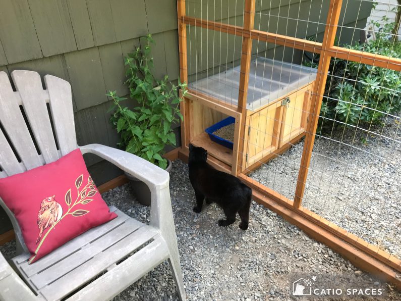 Choosing the Perfect Outside Cat Litter Box: Top Options for Your Feline