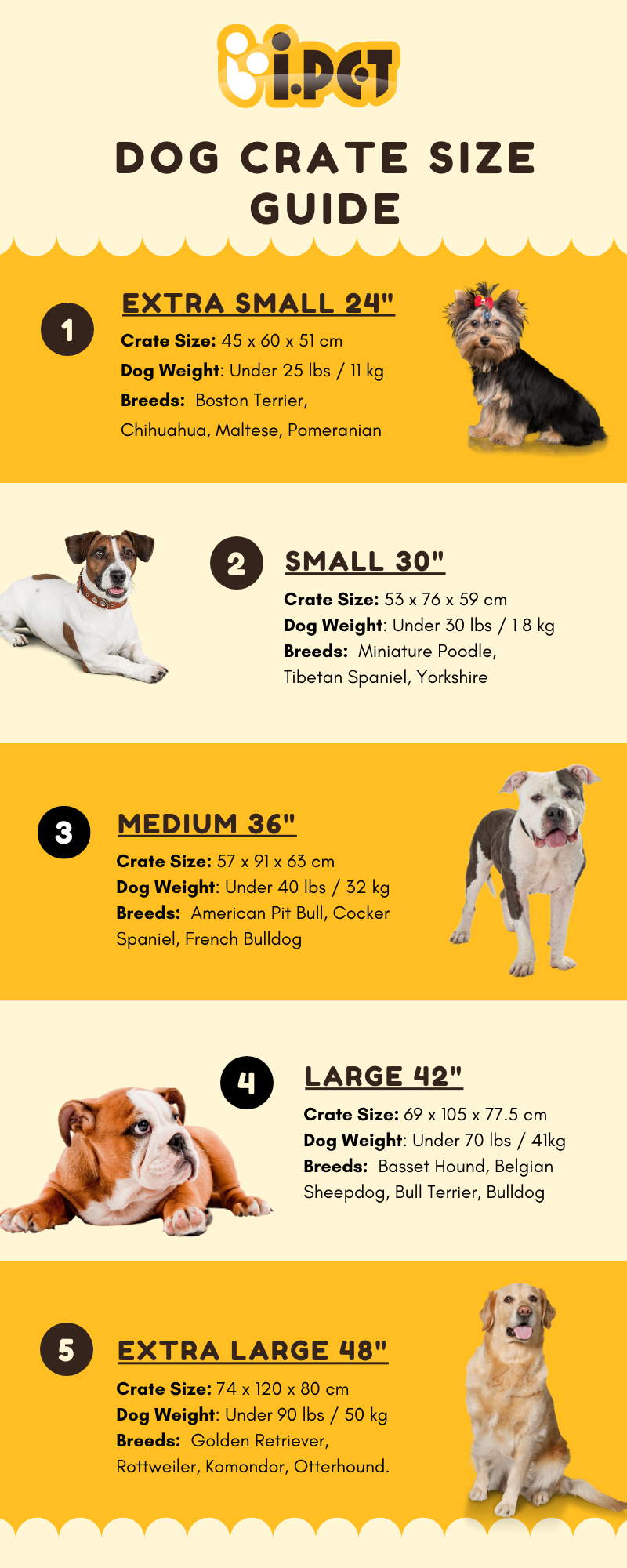 Choosing the Right Crate for Your Golden Retriever: Size Guide
