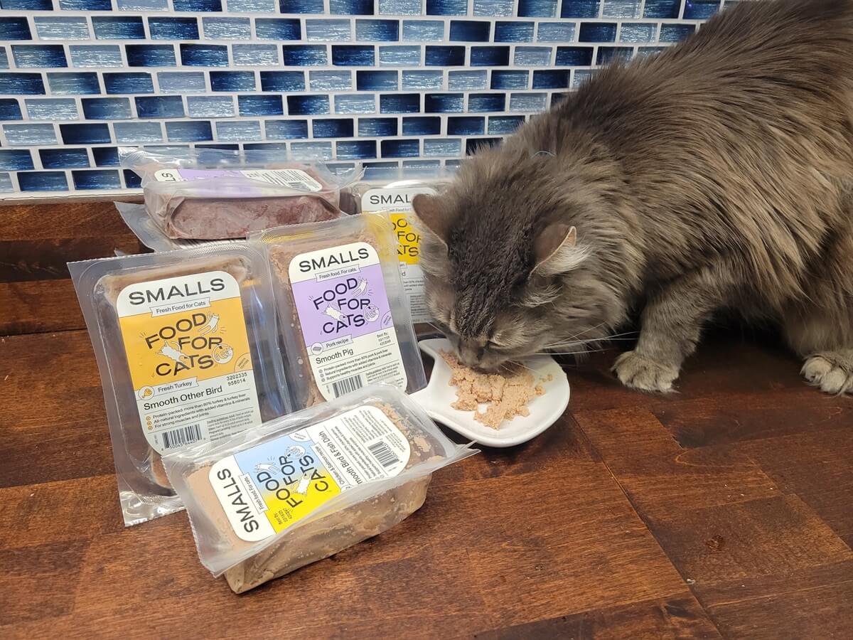 Top Small Bags of Cat Food for Small Cats: Nutritious Choices for Your Pet