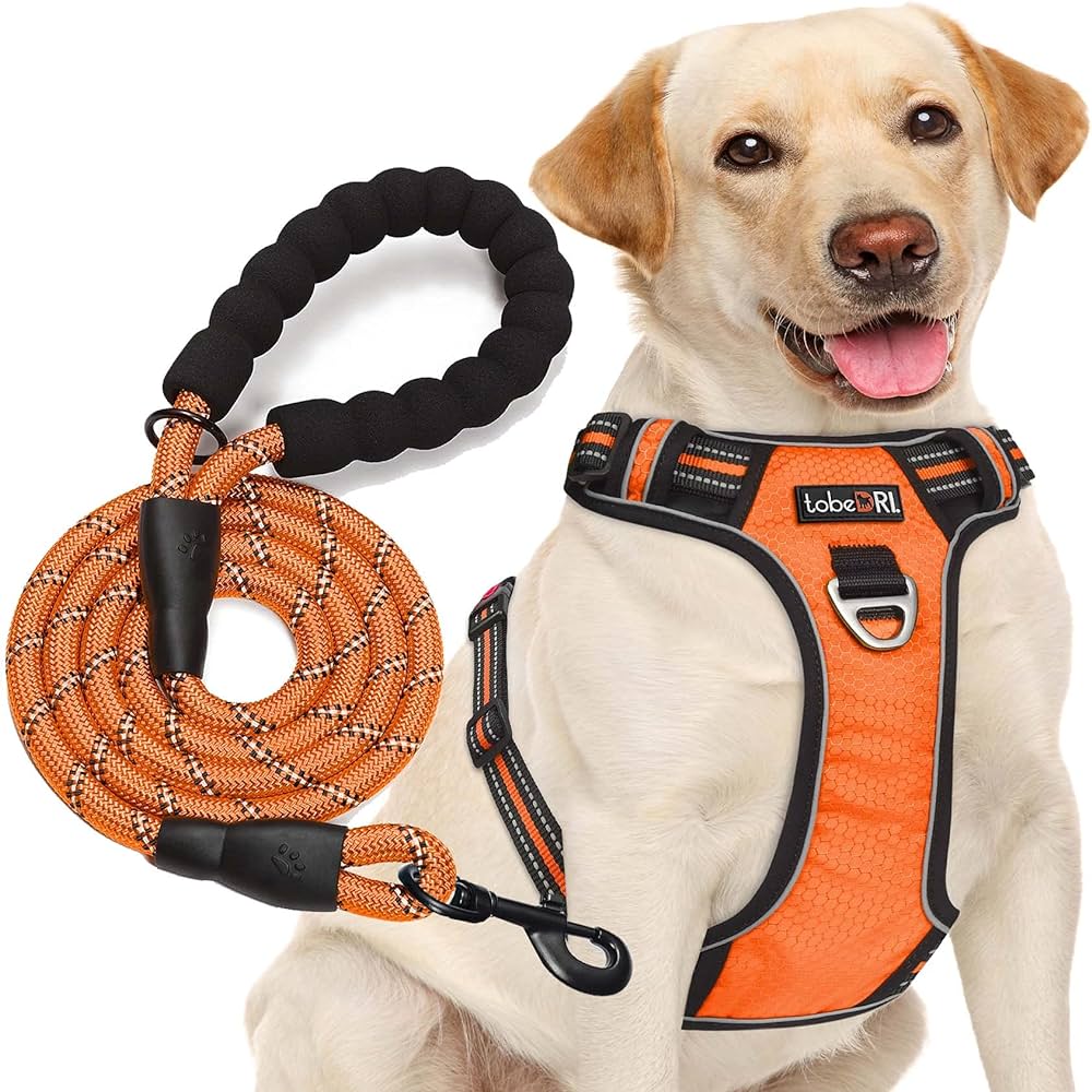 Best Rope Dog Harness for Durability and Comfort | Top Rated Picks