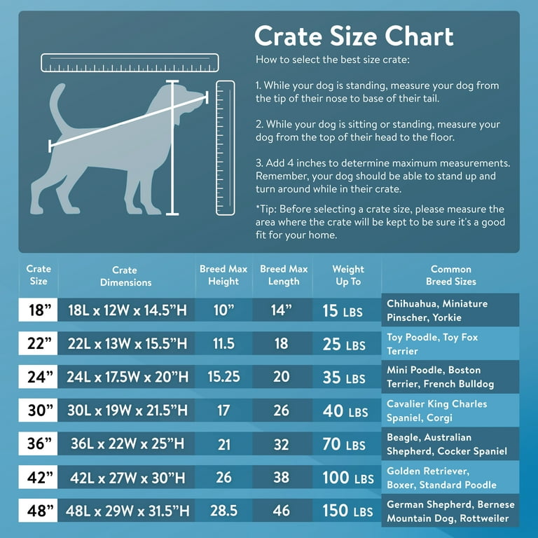 Best Crate Size for Labrador Retrievers: A Complete Sizing Guide