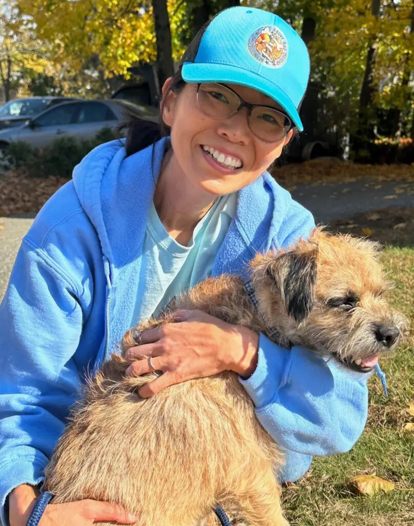 Above and Beyond Pet Care: Compassionate Care for Your Furry Friends