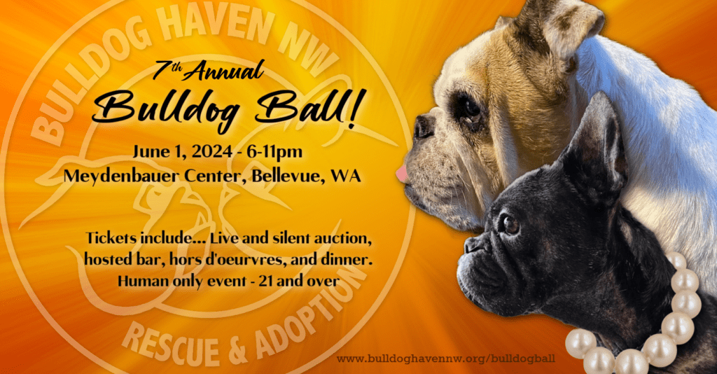 Get Ready for the Booksin Bulldog Ball: Tickets Extended Until March 17th!