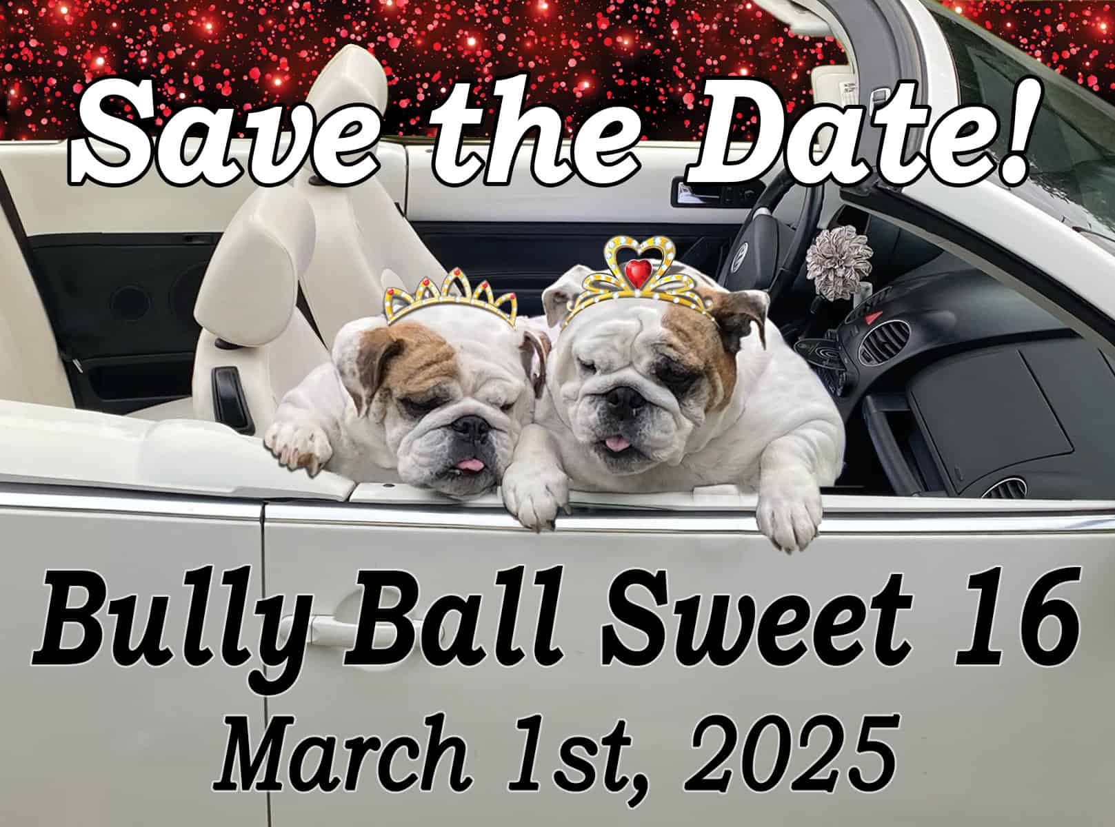 Get Ready for the Booksin Bulldog Ball: Tickets Extended Until March 17th!