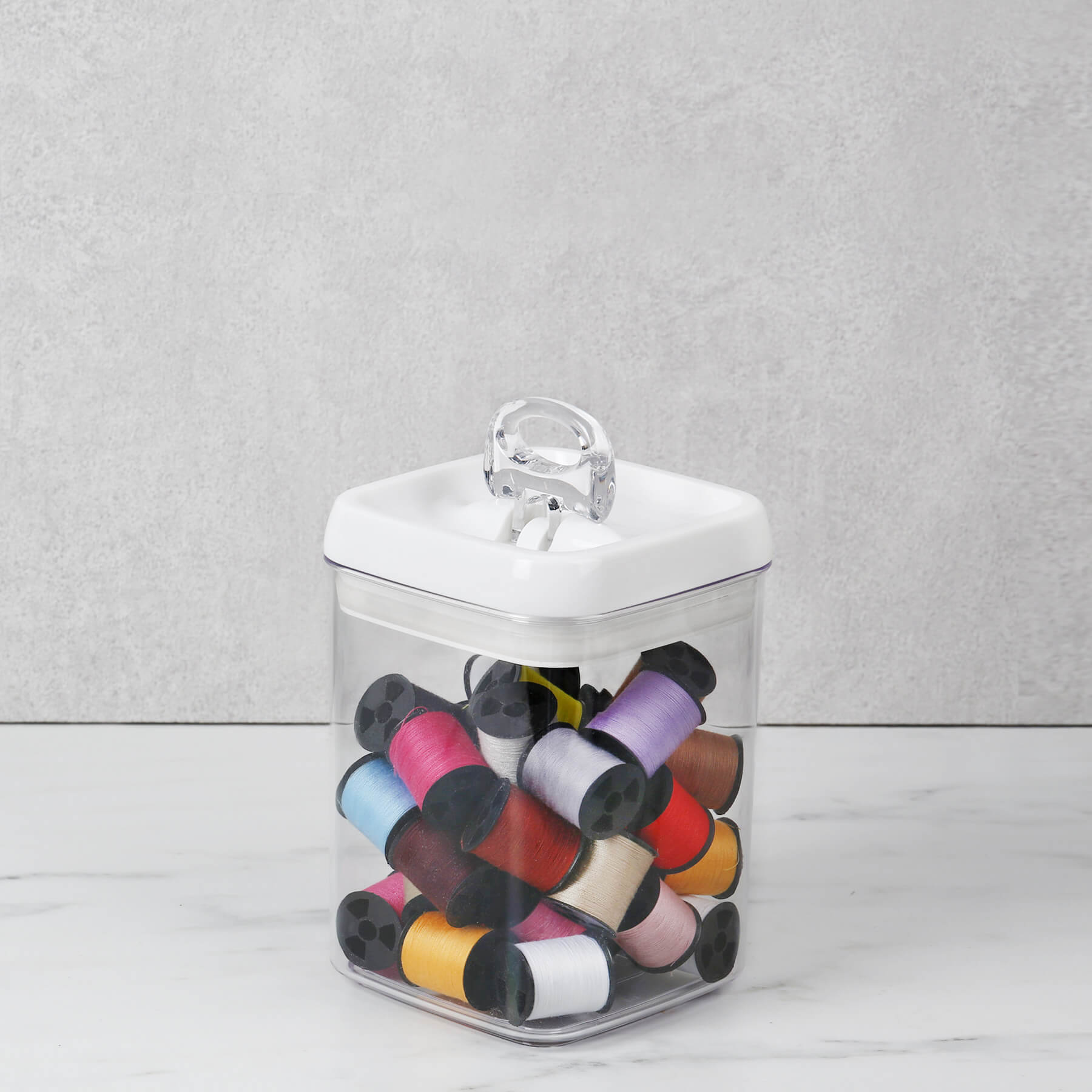 Felli Classic Buckle Pet Food Container – Airtight & Stylish Storage Solution