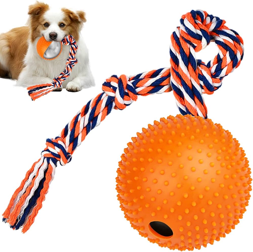 Best Ball and Rope Dog Toy for Active Play and Training